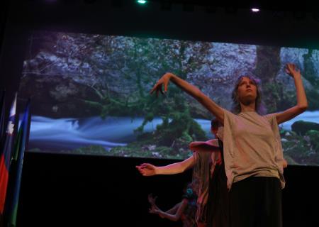 SLAVNOSTNA SEJA  40 FOTO LJUBO VUKELIČ